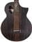 Michael Kelly Dragonfly 5 Port Java Ebony Acoustic Electric Bass with Gig Bag Front View